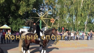 Подготовка к соревнованиям по конному спорту в КСК «Рифей»